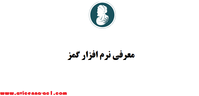 معرفی نرم افزار گمز | کاربرد آن در انجام پایان نامه مدیریت